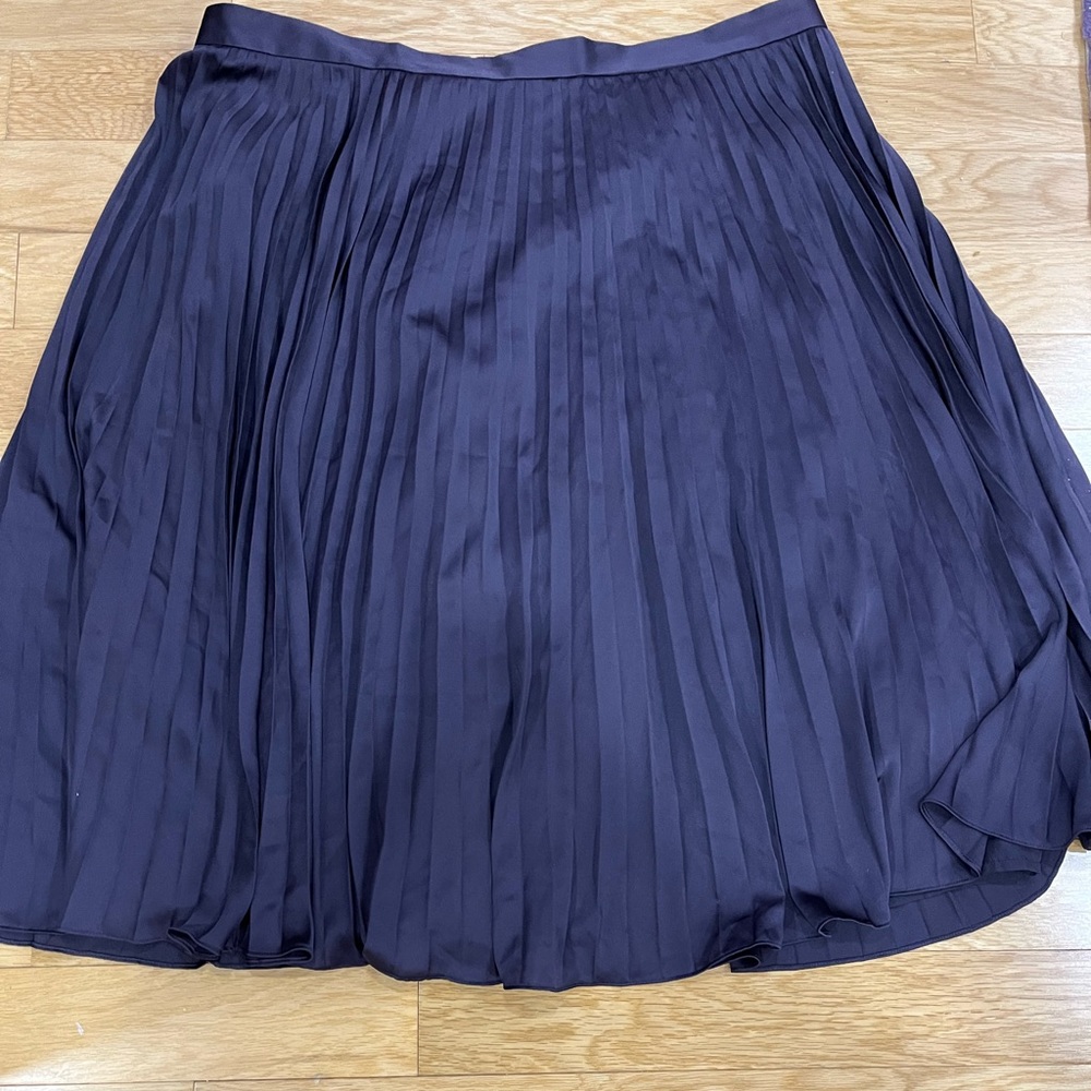NWT Ann Taylor purple pleated skirt with silky underskirt. Zipper on back. 18